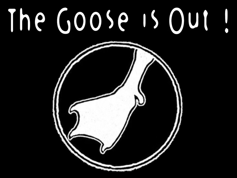 The Goose is Out